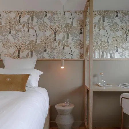 Hotel La Peniche - Bed And Bicycle - Vienne (Isere)