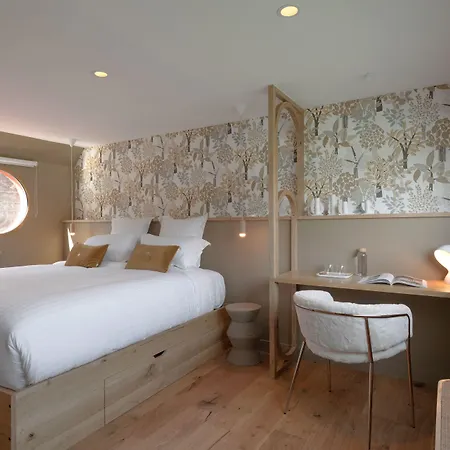 La Peniche - Bed And Bicycle - Hotel Vienne (Isere)